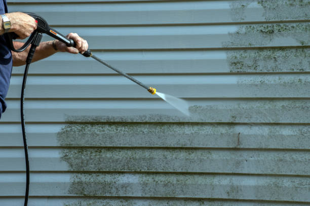 Trusted Petersburg, VA Pressure Washing Services Experts